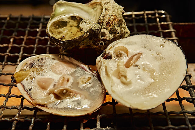 绝景点1从日本全国采购新鲜的贝壳!